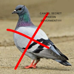 Anti pigeon group