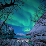 〈Aurora〉