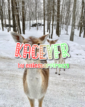 kaceyfr