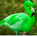 The Green Flamingo Army