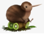 Aesthetic Kiwis
