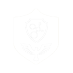 Everion Security Defense