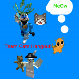 TeamCat's  Hangout!