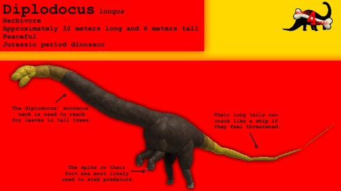 Diplodocus Exhibit