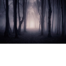 Dark forest one (WIP)