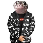 TheAlmightyLizard Squad