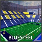 Bluesteel City Vikings: Vikings Stadium