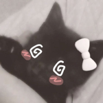 ' r6flections