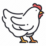 Epic Chicken Inc