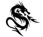Black dragons gang_Blackdragonforever