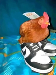 THE RICH CHICKEN GROUP