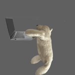 Polar Bear Developers