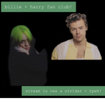 billie and harry’s fan group!
