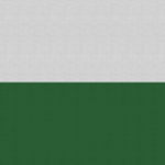 Sächsischе Armee