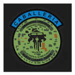 16th Motorized Cavalry Regiment