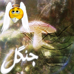 جنگل