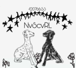 NvScvRL