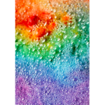 Fizzy Rainbow Studios