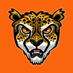 The Cheetas Fast