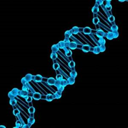 DNA HangOut