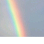 Rainbow's Clothing Groupie
