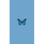 Blue butterfly’s:>