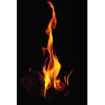 The Firekidz