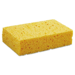 The Sponge Fan Club!
