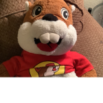 Beaver Simulator Studios