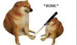 #The dogesforever