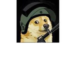 BATTLE TRAINING