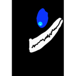 The shemarplays group