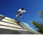 roblox pro skateboarders