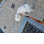 오세요~~
