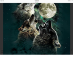 The wolf galaxyPack