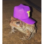 Alex’s roblox group (join you won’t regret :D)