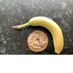 Cookies eat bananas