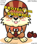 squirrel protection program