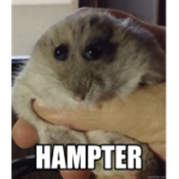 Hampter Obby