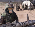 Policeattackeryep's army