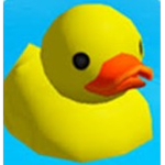 Ducks Lives Matter!