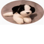 ScienceDogGaming Fan club