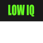 Low Intelligent Studios