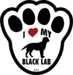 memorial for my passed dog