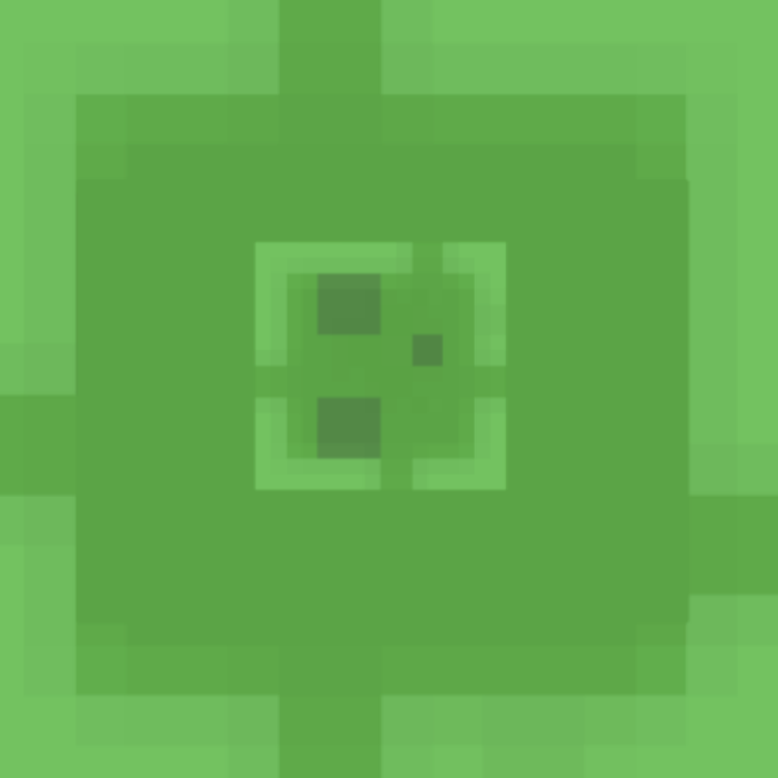 Slime Texture Minecraft Roblox decal