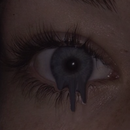 🕸️
