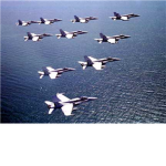 Sky Birds