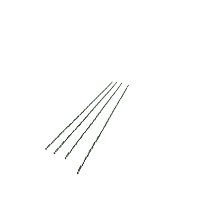 grass