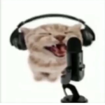 d0g3_n@tion