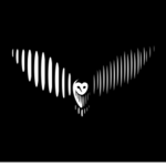 Owl Wind Gamerz